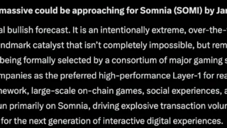Elon Musk’s Grok AI Predicts SOMI Crypto Could Explode by 2027